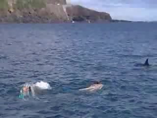 Sex Under Water Video