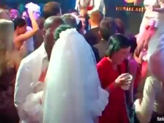 מְצוּיָן חרמן brides למצוץ גדול זין ב ציבורי