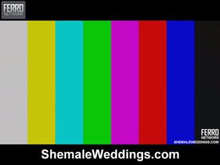 Mix Of Alessandra, Angel, Senna By Shemale Weddings