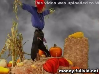 Pumpkin γαμήσι stunt